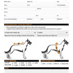 HighCom Armor K9 Service Dog Measurement Form for Customizable Trooper Carrier and Soft Armor PDF
